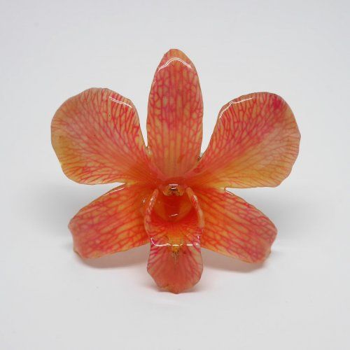 alt="Broche/colgante de orquidea natural y plata. www.santelmotienda.com"