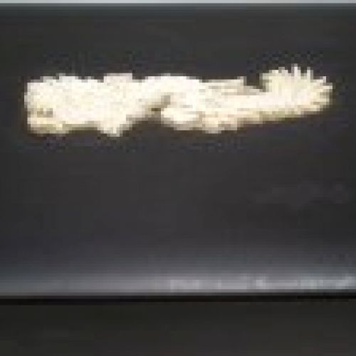alt=\"Caja antigua rectangular de madera lacada y dragon de marfil\"